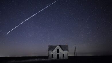 تتحرك شركة SpaceX لتحويل Starlink إلى شركة الهاتف المحمول الرئيسية التالية في الولايات المتحدة