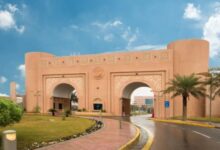 جامعة الملك فيصل تحصد جائزتين دوليتين في أبحاث وتنمية الإبل