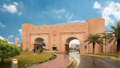 جامعة الملك فيصل تحصد جائزتين دوليتين في أبحاث وتنمية الإبل