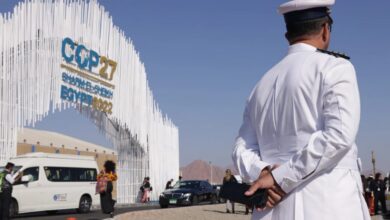 رحلة علاج تتحول إلى فاجعة.. مقتل سيدة يمنية وابنتها في مصر | أخبار