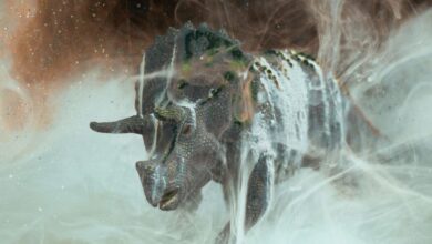 عاجل | Did fungi give mammals an evolutionary edge after the dinosaur-killing asteroid hit? New evidence revives a provocative hypothesis