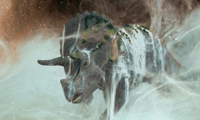 عاجل | Did fungi give mammals an evolutionary edge after the dinosaur-killing asteroid hit? New evidence revives a provocative hypothesis