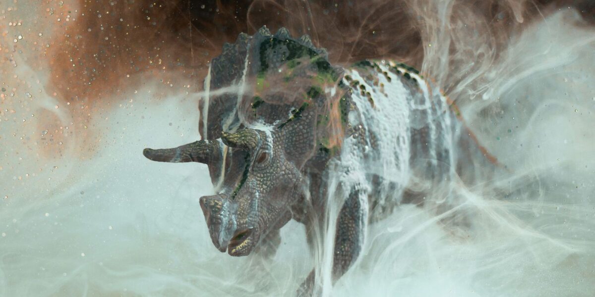 عاجل | Did fungi give mammals an evolutionary edge after the dinosaur-killing asteroid hit? New evidence revives a provocative hypothesis