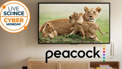 عاجل | احصل على توفير كبير في صفقة البث المباشر لعطلة نهاية الأسبوع في Peacock Memorial Day وادفع 24.99 دولارًا فقط لمدة 12 شهرًا