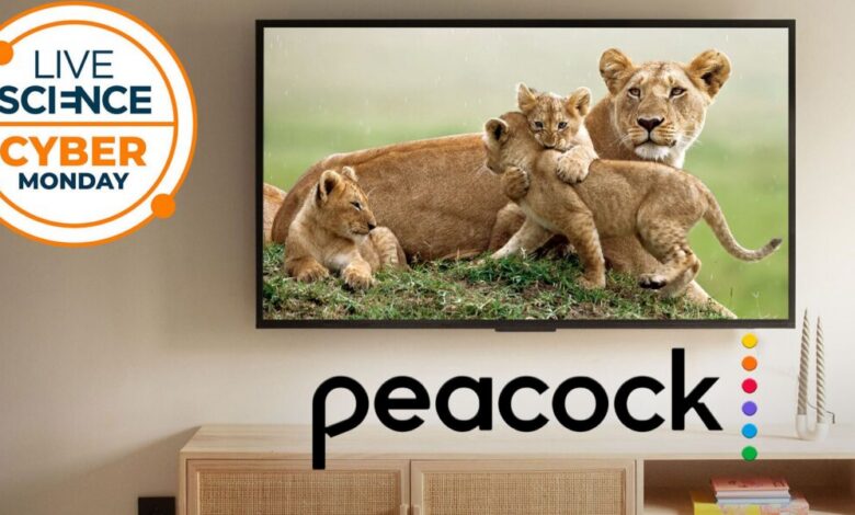 عاجل | احصل على توفير كبير في صفقة البث المباشر لعطلة نهاية الأسبوع في Peacock Memorial Day وادفع 24.99 دولارًا فقط لمدة 12 شهرًا
