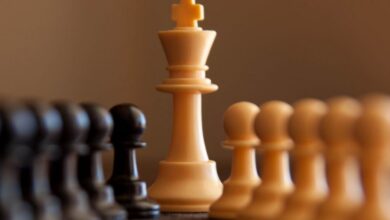 عاجل | اليوم العالمي للشطرنج 2026.. حين تتحول المربعات الـ64 إلى لغة عالمية عابرة للثقافات