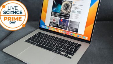 عاجل | برايم داي ينتهي الليلة! صفقات مجهر يجب أن تعرفها لرؤية القمر والحياة البرية كما لم يحدث من قبل