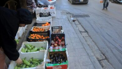 عاجل | تعطّل الإنتاج وأضرار مباشرة ومواسم ضائعة: 530 مليون دولار خسائر الزراعة