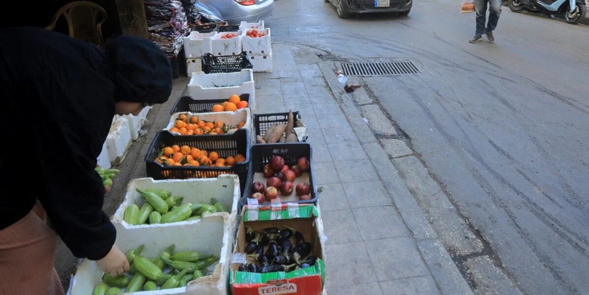 عاجل | تعطّل الإنتاج وأضرار مباشرة ومواسم ضائعة: 530 مليون دولار خسائر الزراعة - صورة مميزة عاجل | تعطّل الإنتاج وأضرار مباشرة ومواسم ضائعة: 530 مليون دولار خسائر الزراعة