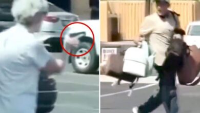 عاجل | جدة مسلحة تطارد سارقا محتملا خارج متجر.. وموقفها يشعل الإنترنت (فيديو)