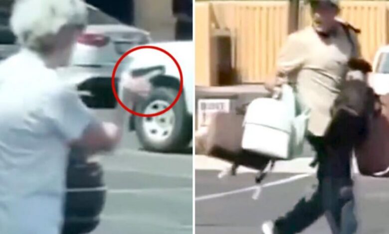عاجل | جدة مسلحة تطارد سارقا محتملا خارج متجر.. وموقفها يشعل الإنترنت (فيديو)