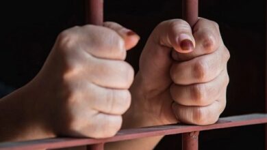 عاجل | زلزال في المحكمة الاقتصادية.. أشرف زكي يطالب بسجن ياسمينا المصري – أخبار السعودية