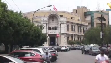 عاجل | سجال بين بلدية طرابلس وجمعيات الرفق بالحيوان حول مصير الكلاب الشاردة