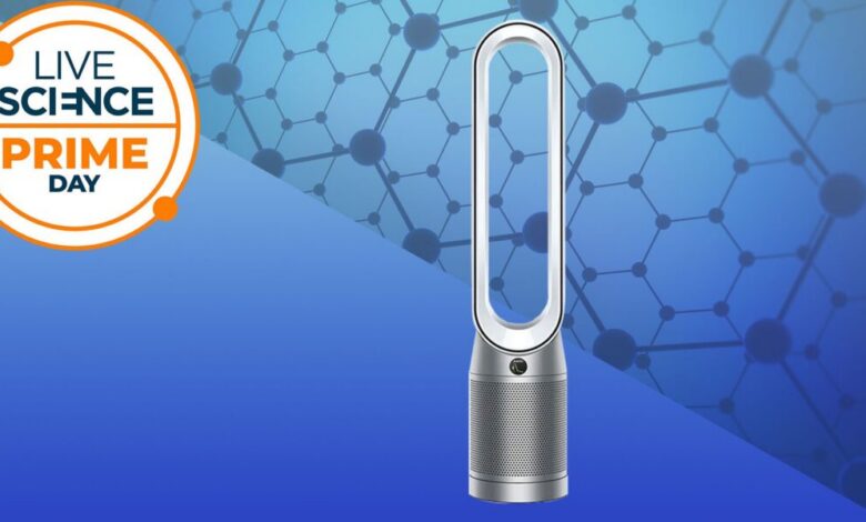 عاجل | نحن نختبر أجهزة تنقية الهواء لكسب لقمة العيش – هذه هي أفضل صفقة دايسون التي رصدناها في برايم داي