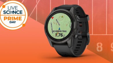 عاجل | يتم بيع ساعات Garmin بسرعة في الفترة التي تسبق Prime Day، ولكن لا يزال بإمكانك الحصول على هذا الطراز ذو الرف العلوي بأقل سعر على الإطلاق