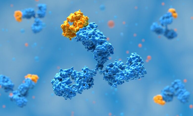 عاجل | يكشف المحققون العلميون عن أكثر من 100 صورة مشبوهة في كتالوج الأجسام المضادة لـ Thermo Fisher