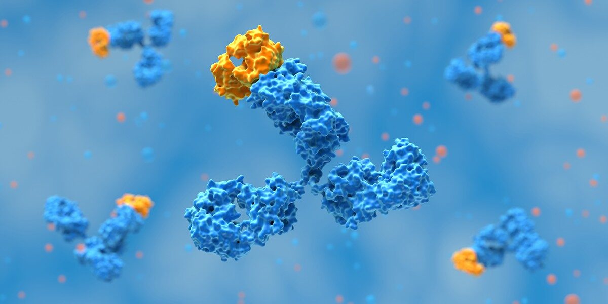 عاجل | يكشف المحققون العلميون عن أكثر من 100 صورة مشبوهة في كتالوج الأجسام المضادة لـ Thermo Fisher - صورة مميزة عاجل | يكشف المحققون العلميون عن أكثر من 100 صورة مشبوهة في كتالوج الأجسام المضادة لـ Thermo Fisher
