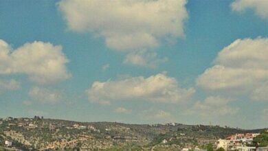 في بحنين.. توقيف شخصين لقيامهما بترويج المخدرات (صورة)