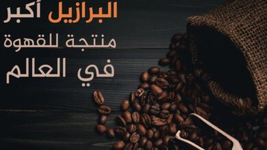 في يومها العالمي.. تعرف على أكبر منتجي القهوة ومستهلكيها في العالم | اقتصاد