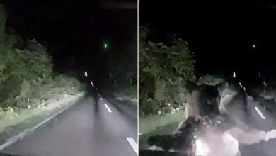 لحظات مرعبة داخل سيارة بعد هجوم ليلي مفاجئ من دب | منوعات