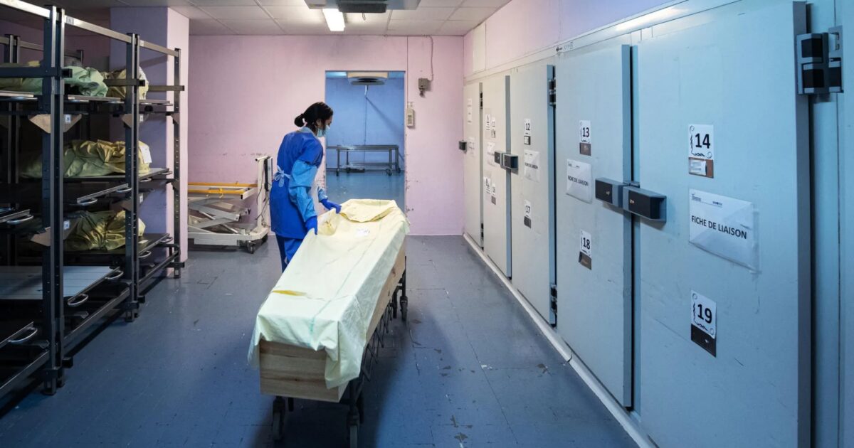 مات وحيدا ونسيه الجميع.. جثة في ثلاجة الموتى 14 عاما تهز فرنسا | منوعات - صورة مميزة مات وحيدا ونسيه الجميع.. جثة في ثلاجة الموتى 14 عاما تهز فرنسا | منوعات