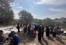 من الشمال إلى الجنوب.. متطوعون يساندون مزارعي الزيتون في جبشيت
