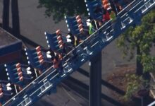 وفاة رجل بعد سقوطه من أفعوانية Six Flags في جورجيا | أخبار