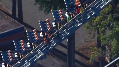 وفاة رجل بعد سقوطه من أفعوانية Six Flags في جورجيا | أخبار