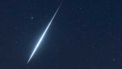يصل زخات شهب الجباريات إلى ذروتها بين عشية وضحاها يومي 21 و22 أكتوبر – هذا هو أفضل وقت لرصد الشهب